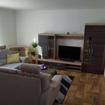 Ferienwohnung Apartman Pod Rickami Rokytnice v Orlických Horách Exterior foto